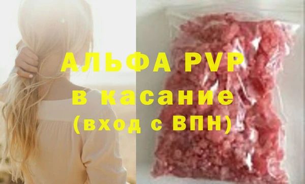 индика Аркадак