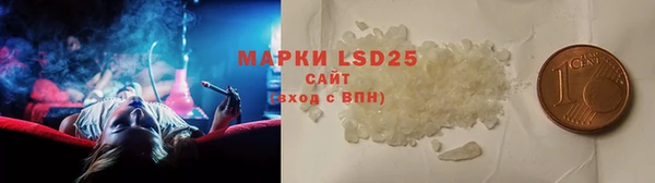 индика Аркадак