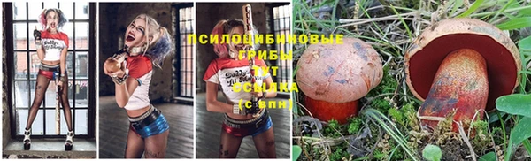 а пвп мука Арсеньев