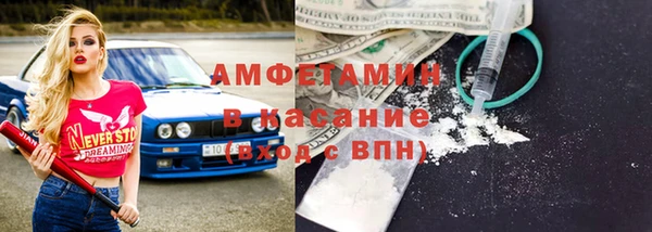 индика Аркадак