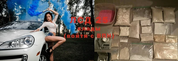 индика Аркадак